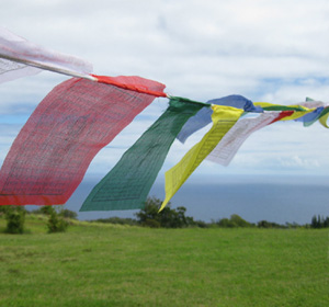 Highest quality handmade cotton and polyester prayer flags